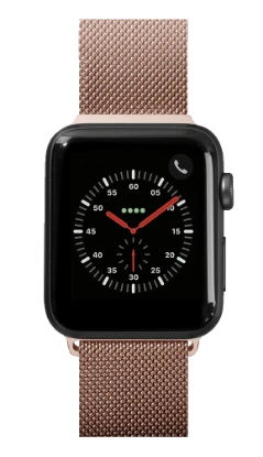Mynd af Apple Watch Strap - Steel Loop