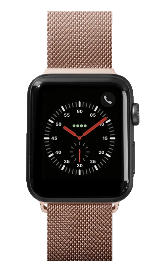 Mynd af Apple Watch Strap - Steel Loop